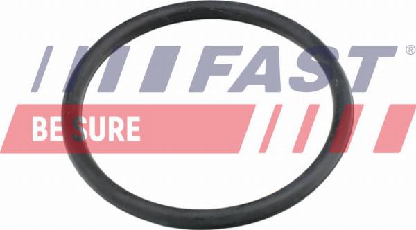 Fast FT49920 — Uszczelka, rurka płynu chłodzącego