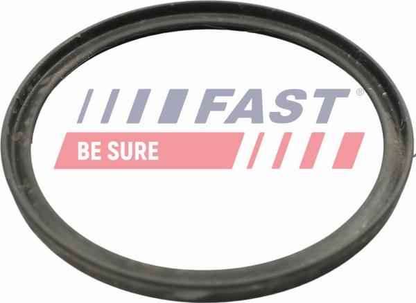 Fast FT49922 — Pierścień uszczelniający, elast. przewód pow. do turbiny