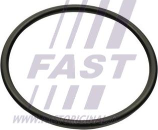 Fast FT49460 — Uszczelka, kolektor dolotowy