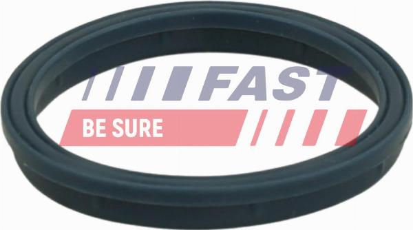 Fast FT49407 — Uszczelka, kolektor dolotowy