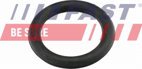 Fast FT49419 — Uszczelka, kolektor dolotowy