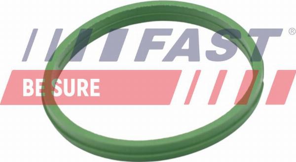 Fast FT49855 — Pierścień uszczelniający, korek spustowy oleju
