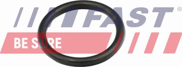 Fast FT49856 — Uszczelnienie, kołnierz przewodu cieczy chłodzącej