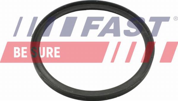 Fast FT49857 — Pierścień uszczelniający, doładowanie