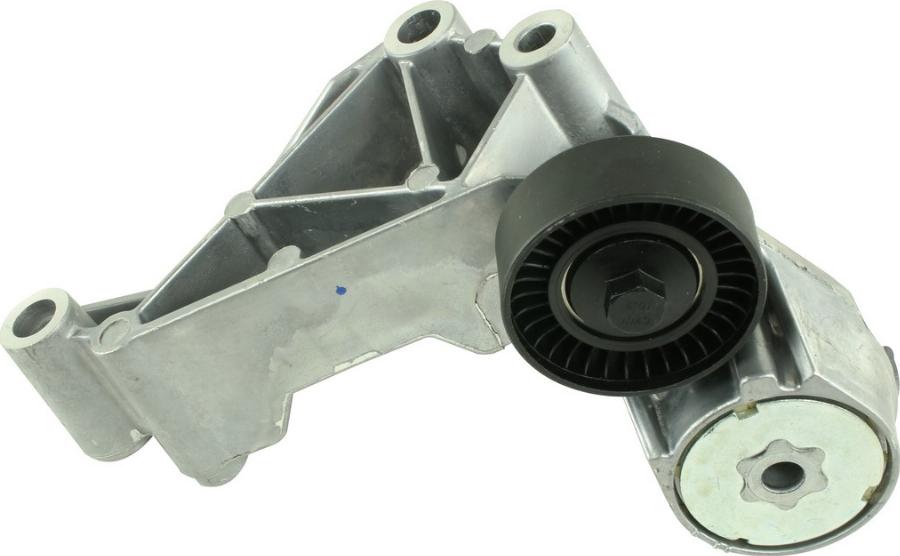 Fast FT44622 - Napinacz paska klinowego wielorowkowego