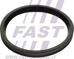 Fast FT48947 - Pierścień uszczelniający, elast. przewód pow. do turbiny