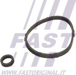 Fast FT48952 - Uszczelka, chłodnica olejowa