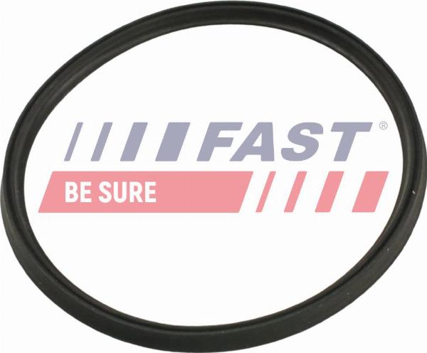 Fast FT48965 — Pierścień uszczelniający, elast. przewód pow. do turbiny