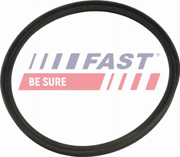 Fast FT48965 - Pierścień uszczelniający, elast. przewód pow. do turbiny