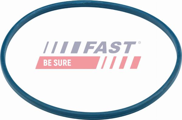 Fast FT48504 — Uszczelka, szyjka wlewu paliwa