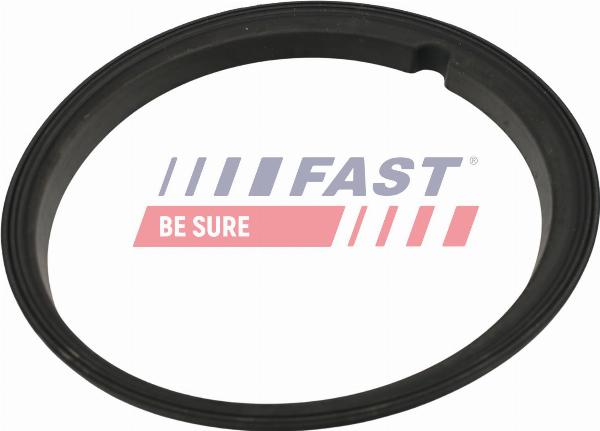 Fast FT48502 - Uszczelka, czujnik poziomu paliwa