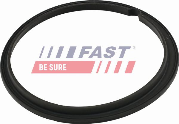 Fast FT48502 - Uszczelka, czujnik poziomu paliwa