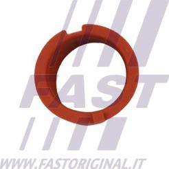 Fast FT48814 - Pierścień uszczelniający, elast. przewód pow. do turbiny