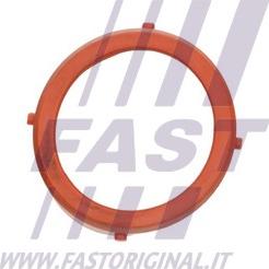 Fast FT48813 - Uszczelnienie, turbosprężarka