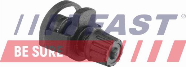 Fast FT55870 — Śruba odpowietrznika / zawór odpowietrznika, chłodnica