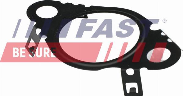 Fast FT50604 — Uszczelnienie, zawór AGR