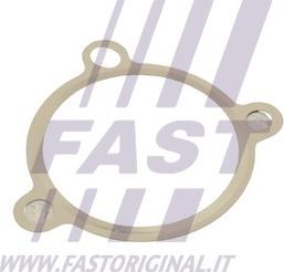 Fast FT50605 — Uszczelnienie, zawór AGR