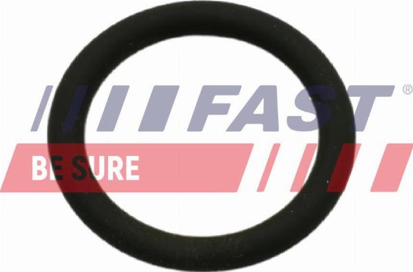 Fast FT50601 — Uszczelnienie, zawór AGR