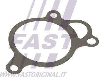 Fast FT50619 — Uszczelnienie, zawór AGR