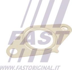 Fast FT50616 — Uszczelnienie, zawór AGR