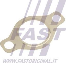 Fast FT50618 — Uszczelnienie, zawór AGR