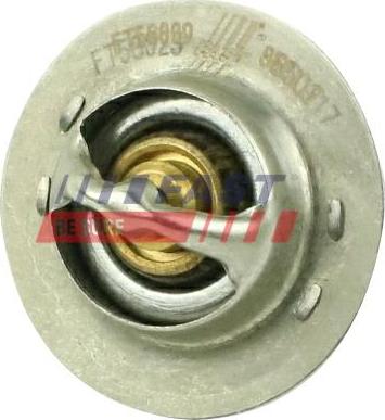 Fast FT58009 — Termostat, środek chłodzący