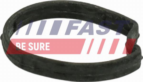 Fast FT58301 — Uszczelka, korpus termostatu