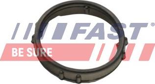 Fast FT57406 - Uszczelnienie, pompa wodna