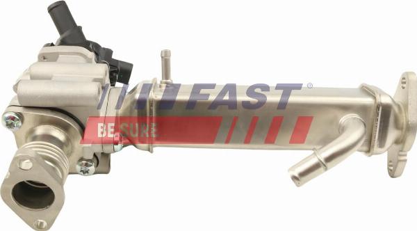 Fast FT60250 - Zawór AGR