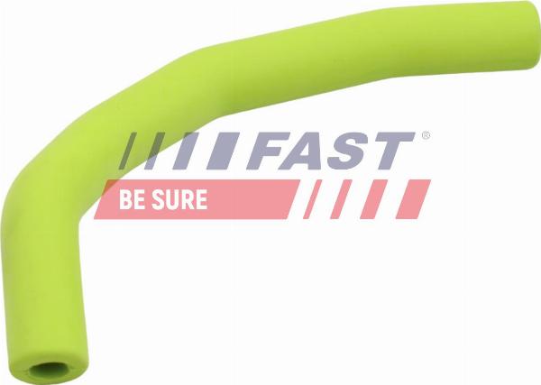 Fast FT63809 - Przewód, zawór AGR
