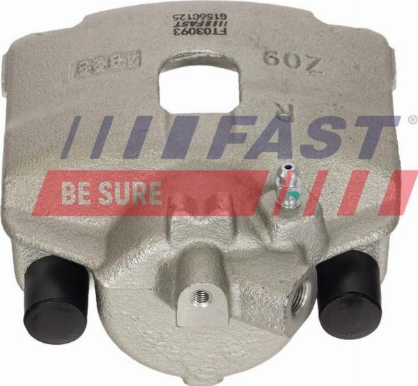 Fast FT03093 - Zacisk hamulca