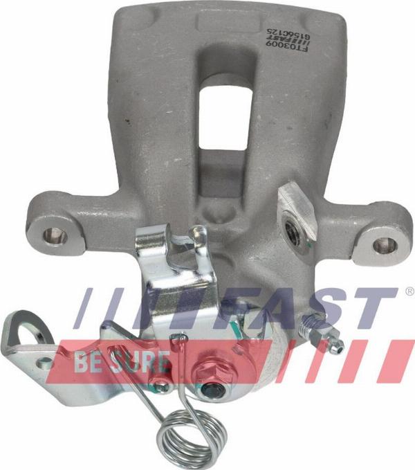 Fast FT03009 - Zacisk hamulca