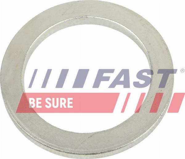 Fast FT10602 — Pierścień uszczelniający, zwrotnica