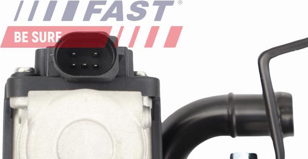 Fast FT10065 - Zawór AGR
