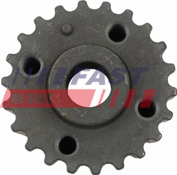 Fast FT10032 - Koło zębate, wał korbowy