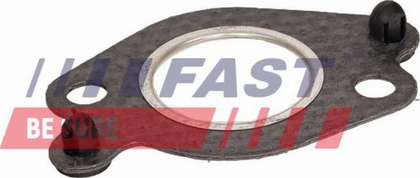 Fast FT13436 — Uszczelnienie, zawór AGR