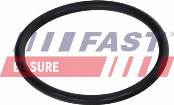 Fast FT13171 — Uszczelka, kolektor dolotowy