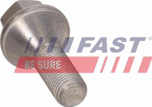 Fast FT12969 - Sworzeń koła