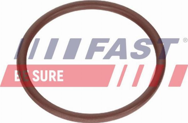 Fast FT12925 — Pierścień uszczelniający