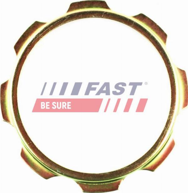 Fast FT26040 - Płyta podstawy, kołnierz półosi napędowej