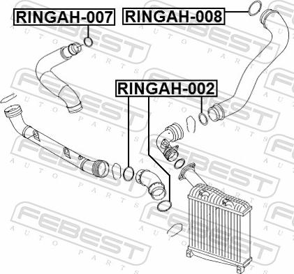 Febest RINGAH-007 - ORING INTERCOLERA -43.95 50.5-