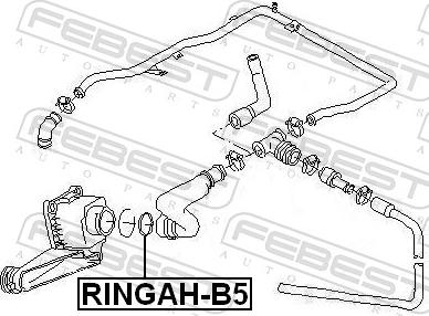 Febest RINGAH-B5 - USZCZELKA OBUDOWY FILTRA OL.AUDI A4 1.8