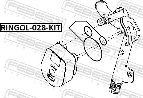 Febest RINGOL-028-KIT - USZCZELKA CHLODNICY OL. KANGOO 01- -ZEST