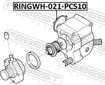 Febest RINGWH-021-PCS10 - PIER. USZCZ. UKŁADU CHŁODZENIA FORD