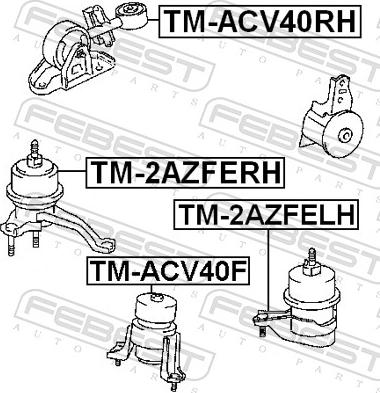 Febest TM-ACV40RH - PODUSZKA SILN.CAMRY 2.4 06- -P-LACZNIK