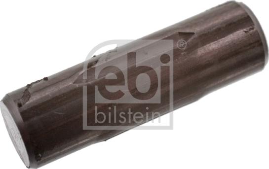 FEBI Bilstein 06424 — Sztyft utrzymujący sprężynę, szczęka hamulcowa