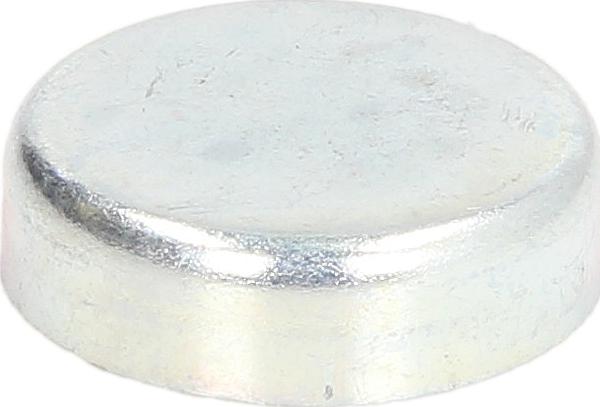 FEBI Bilstein 02544 — Uszczelnienie przeciwmrozowe