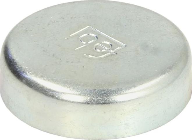 FEBI Bilstein 02543 - ZAŚLEPKA BLOKU DB OM601-60