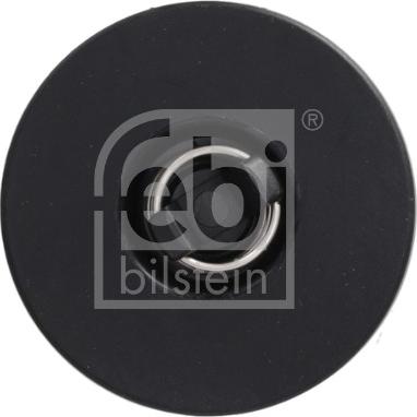 FEBI Bilstein 197831 - FILTR AUTOMATYCZNEJ SKRZ. BIEG. BYD SEAL 07.22-