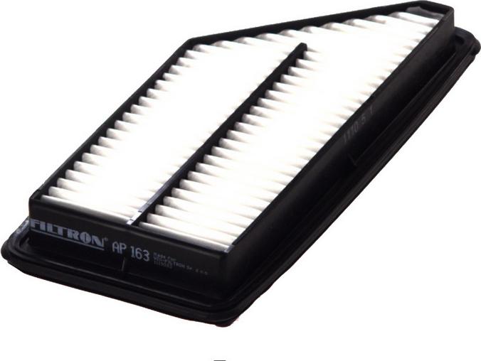 Filtron AP163 — Filtr powietrza